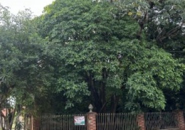  Casa de Dos Plantas con Gran Potencial - Ideal Vivienda + Renta