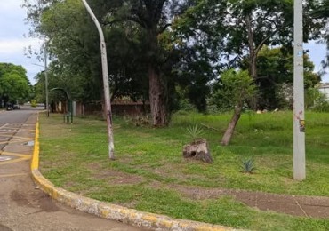 Venta de 2 lotes contiguos - Excelente ubicacion - calle Misiones y Japon , a pocos metros de Costanera Sur